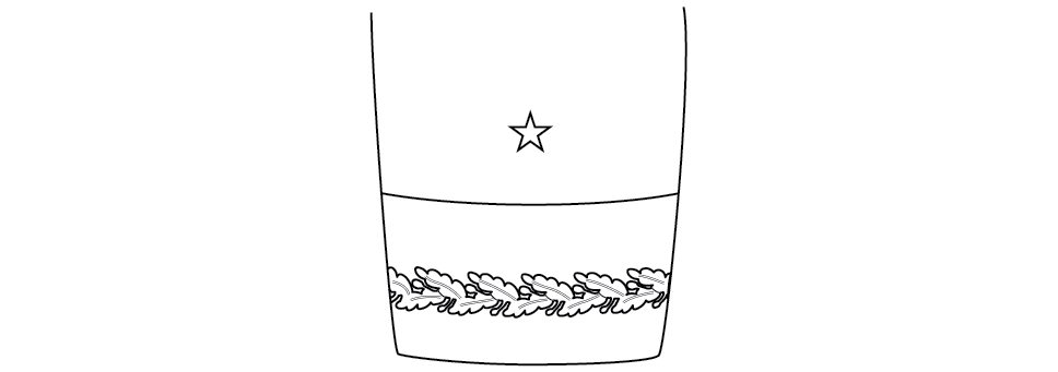 Sleeve ornamentation, blue mess, brigadier general
