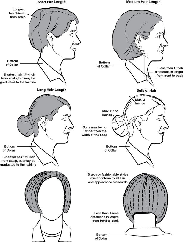 Figure 3-3 from AR 670-1: Female hairstyle standards