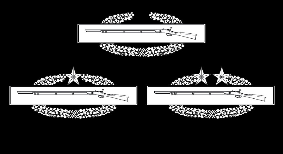 Figure 22-34 from DA PAM 670-1: Combat infantryman badges