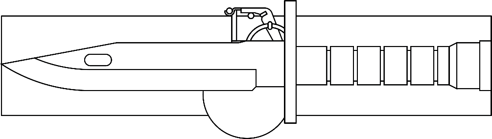 Figure 22-38 from DA PAM 670-1: Expert field medical badge