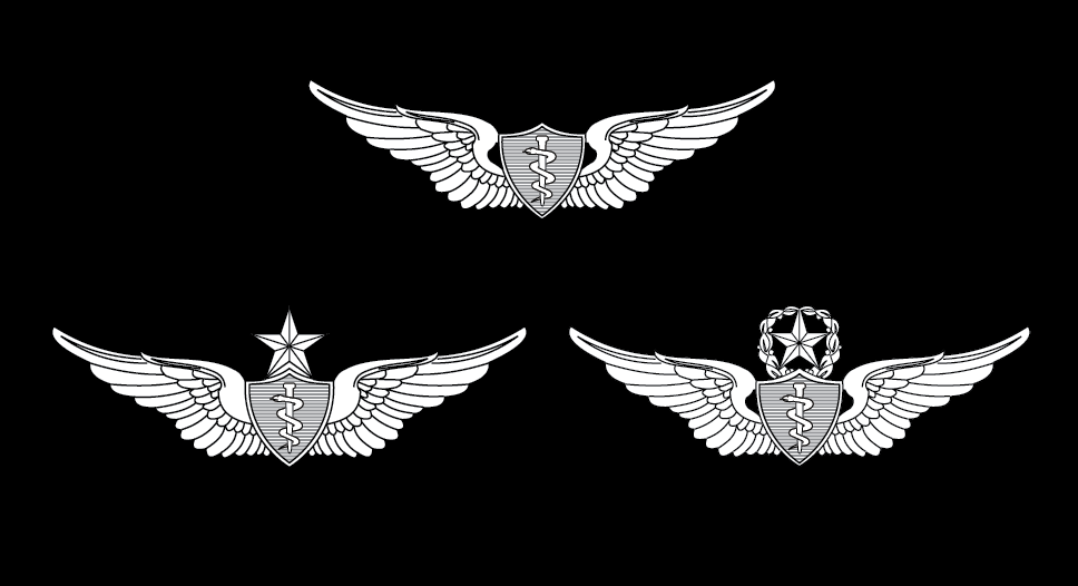 Figure 22-43 from DA PAM 670-1: Aviation badges
