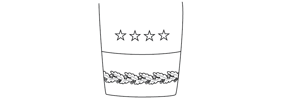 Sleeve ornamentation, blue mess, general