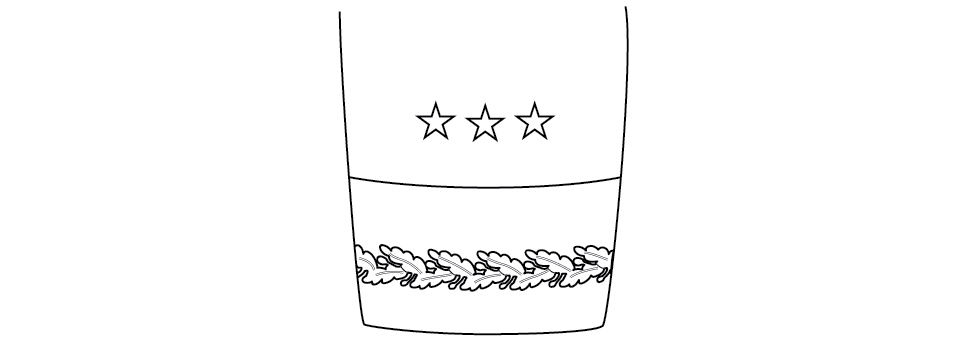 Sleeve ornamentation, blue mess, lieutenant general