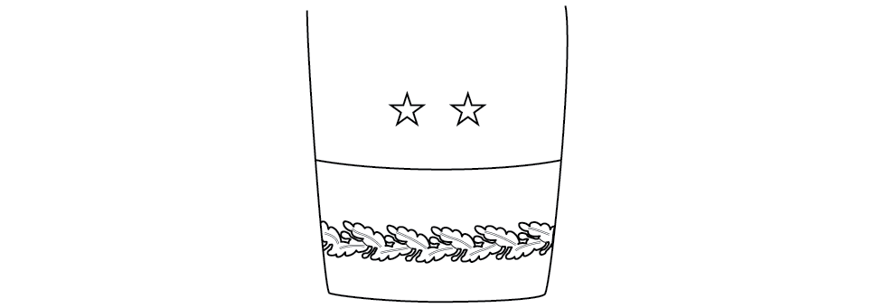 Sleeve ornamentation, blue mess, major general