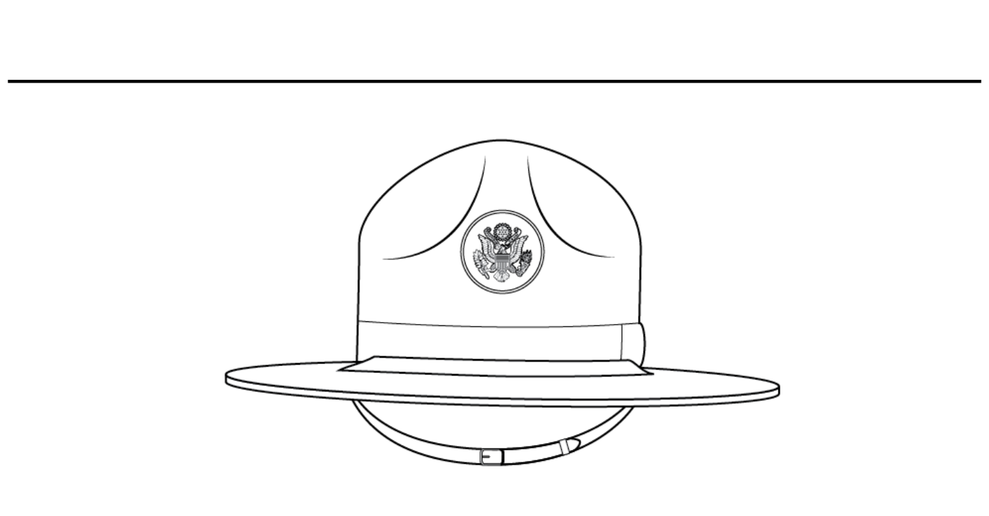 Hat, drill sergeant, male