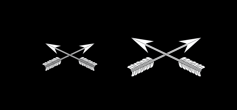 Insignia of branch, Special Forces