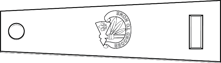 Wearing distinctive unit insignia on shoulder loops