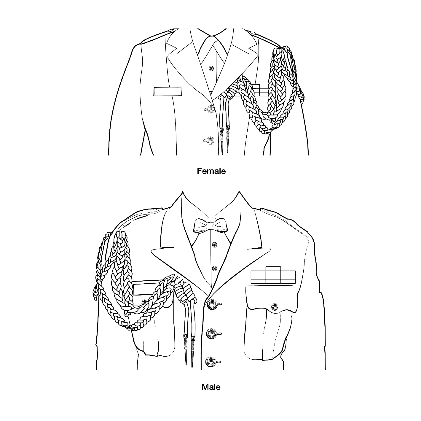 Wearing dress aiguillettes