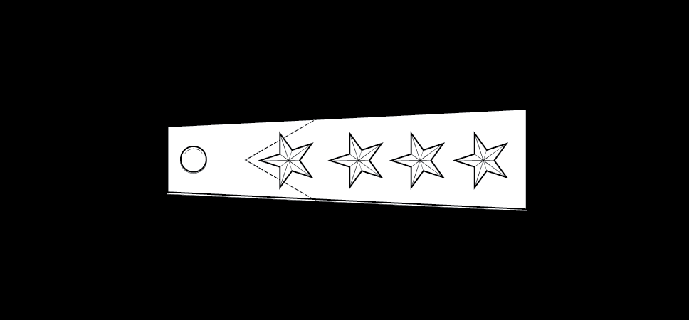 Insignia of grade, brigadier general