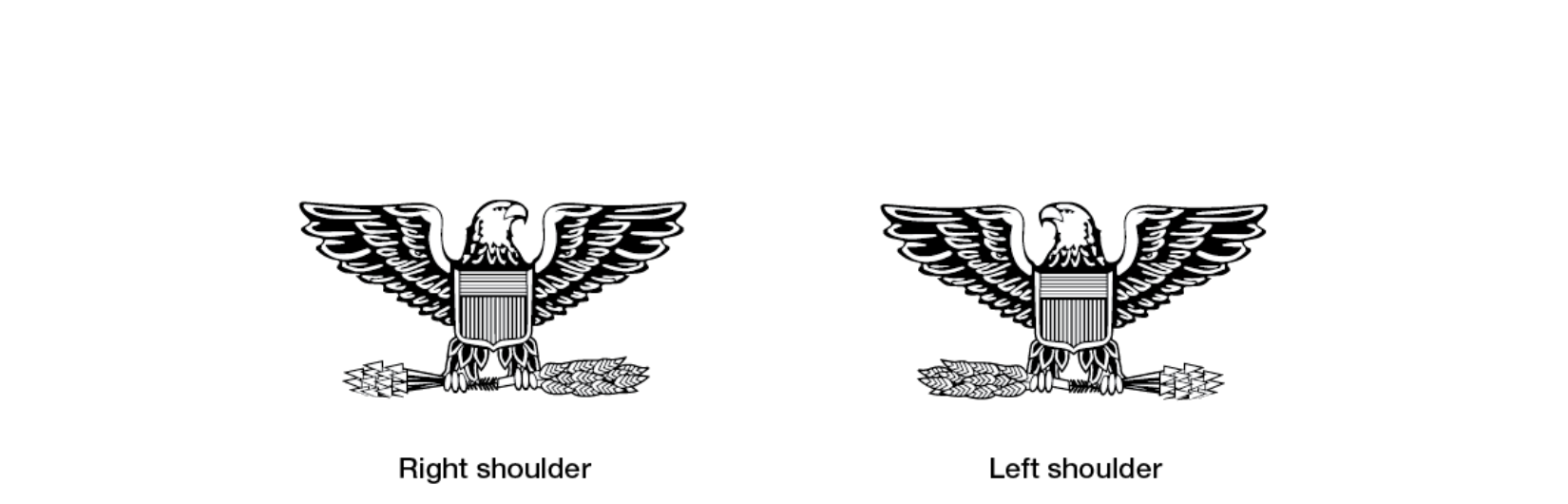 Insignia of grade, colonel