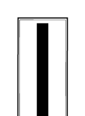 Insignia of grade, chief warrant officer 5