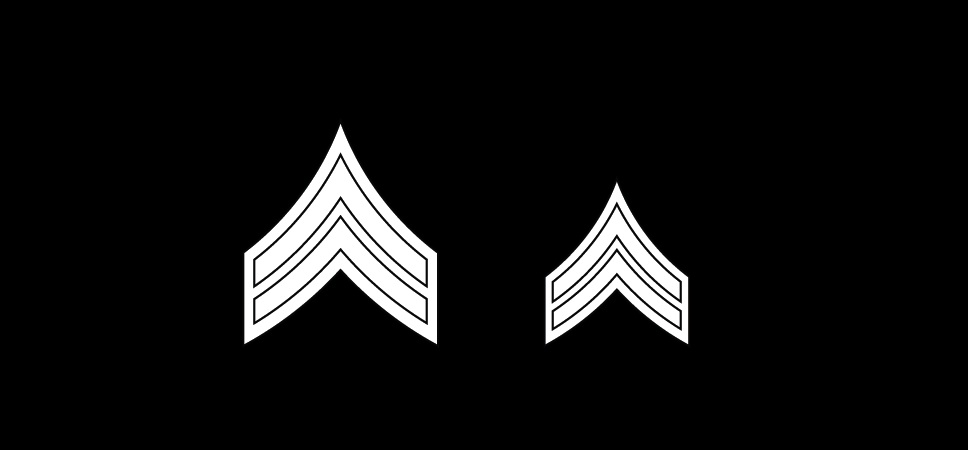 Insignia of grade, specialist