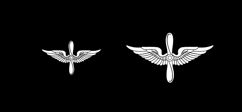 Insignia of branch, Aviation