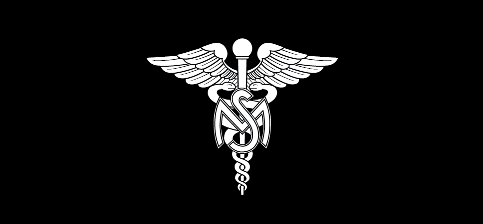 Insignia of branch, Medical Service Corps, officer